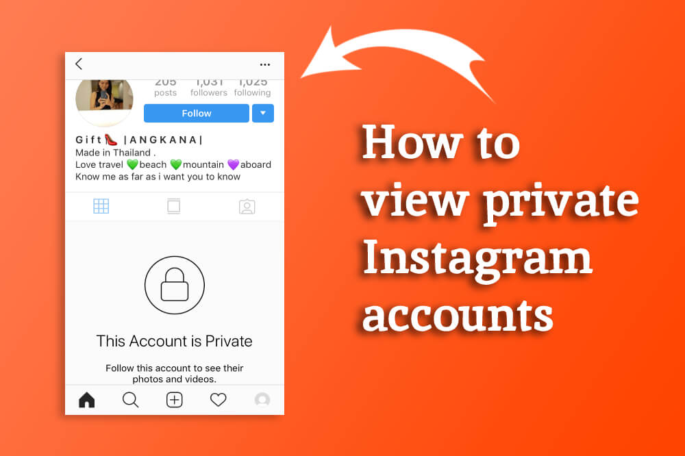 private account instagram viewer